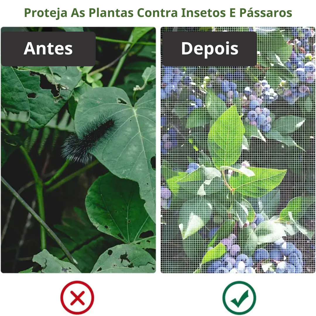 70% DESCONTO | Sacos De Malha Respiráveis Reutilizáveis Para Proteção De Frutas E Vegetais – Proteja Contra Insetos, Moscas-Das-Frutas E Pássaros