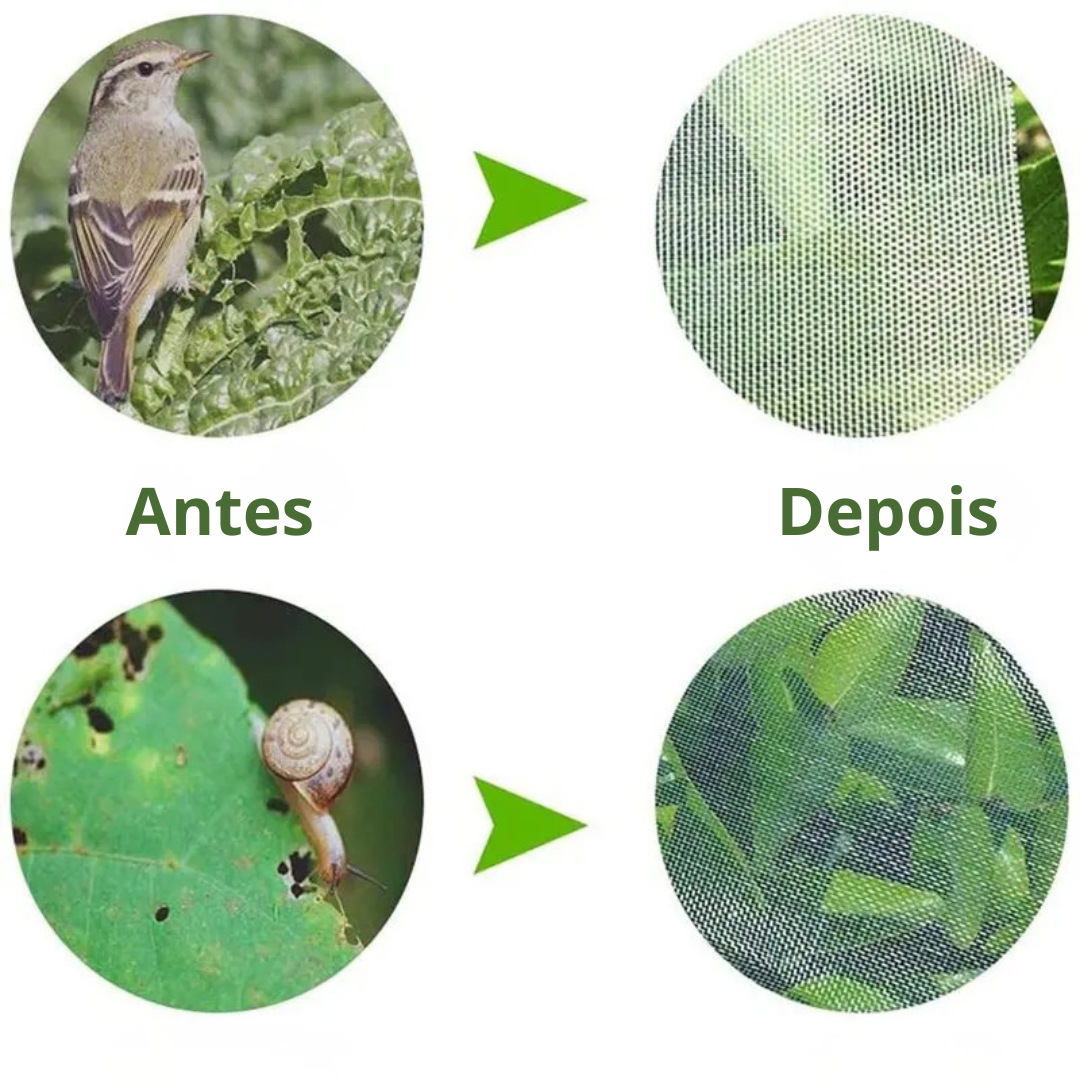 70% DESCONTO | Sacos De Malha Respiráveis Reutilizáveis Para Proteção De Frutas E Vegetais – Proteja Contra Insetos, Moscas-Das-Frutas E Pássaros