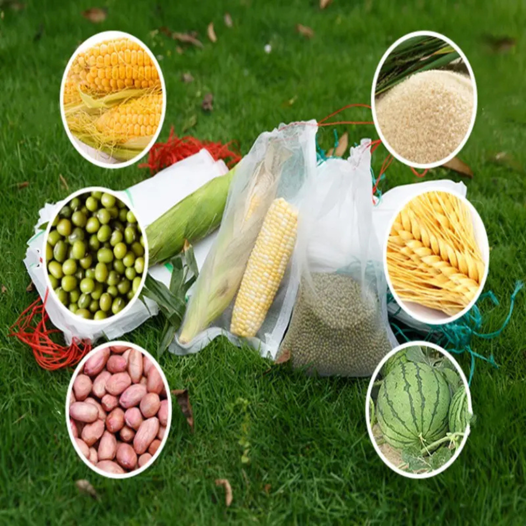 70% DESCONTO | Sacos De Malha Respiráveis Reutilizáveis Para Proteção De Frutas E Vegetais – Proteja Contra Insetos, Moscas-Das-Frutas E Pássaros