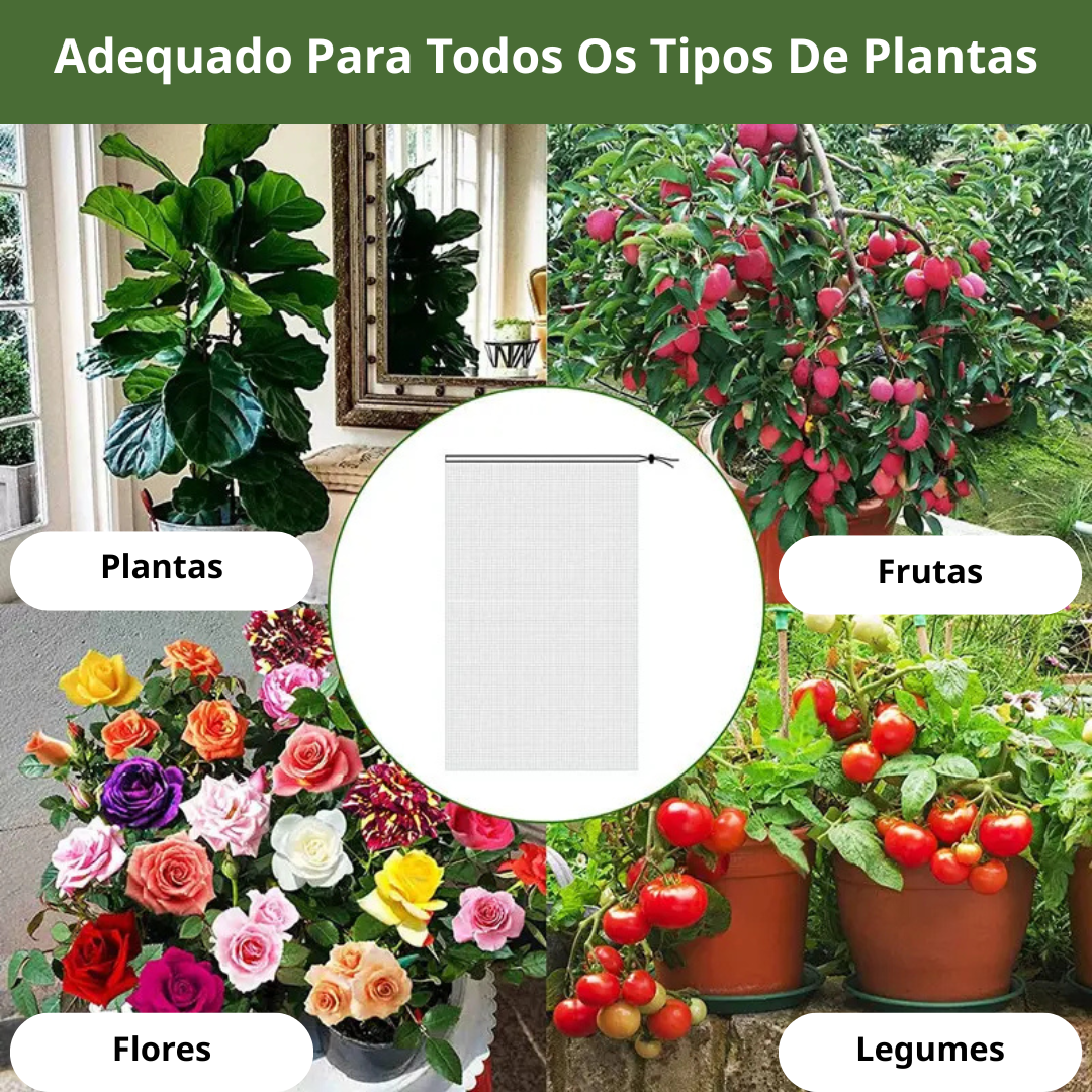 70% DESCONTO | Sacos De Malha Respiráveis Reutilizáveis Para Proteção De Frutas E Vegetais – Proteja Contra Insetos, Moscas-Das-Frutas E Pássaros