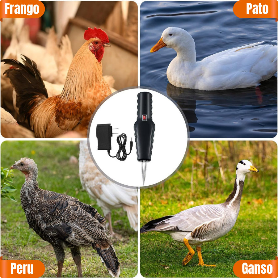 🇵🇹 Despenador Manual e Portátil com Carregador Rápido Incluso