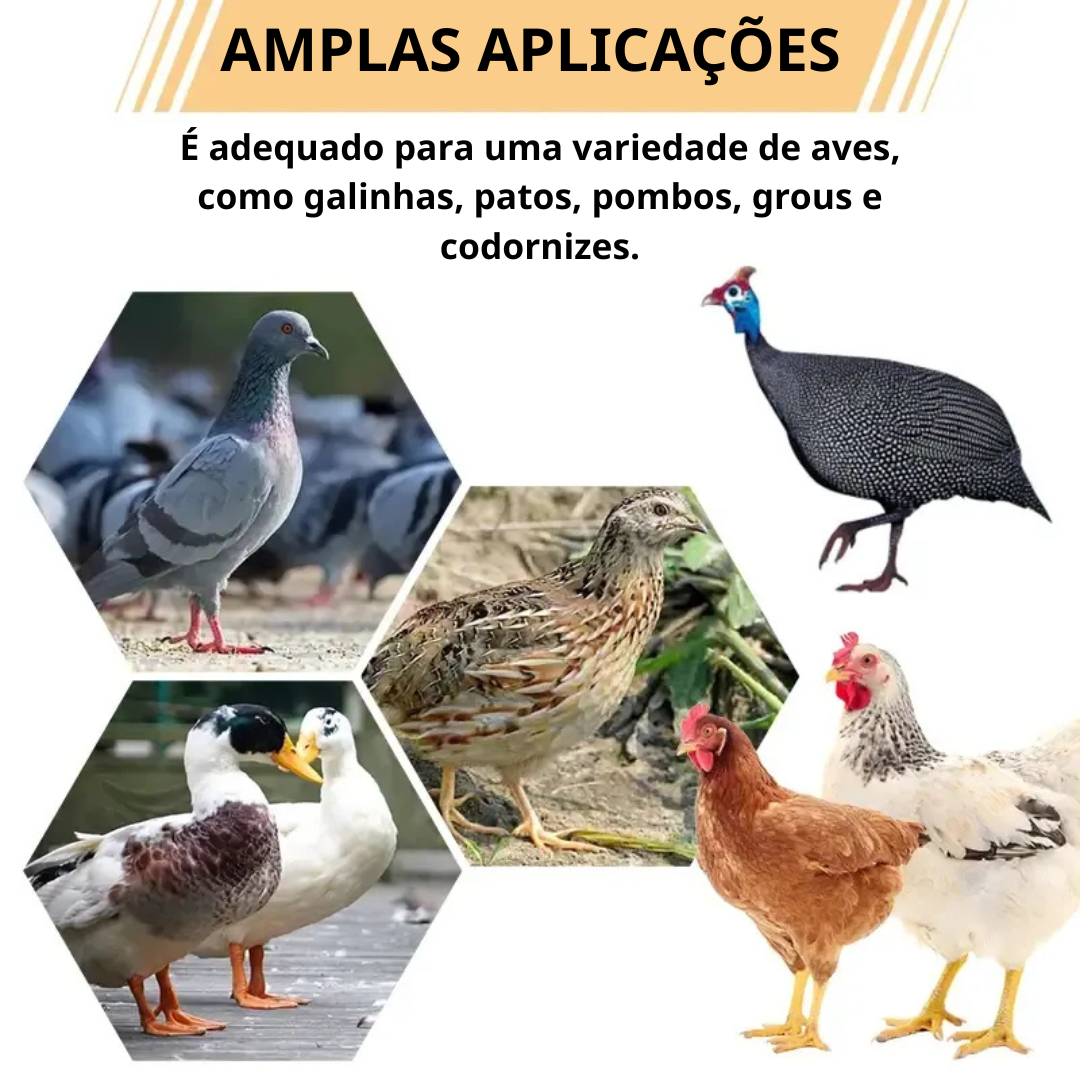 70% OFF| Porta De Alimentação Automática Para Galinhas E Patos Para Todos Os Tipos De Baldes – Inclui Broca Serra Copo