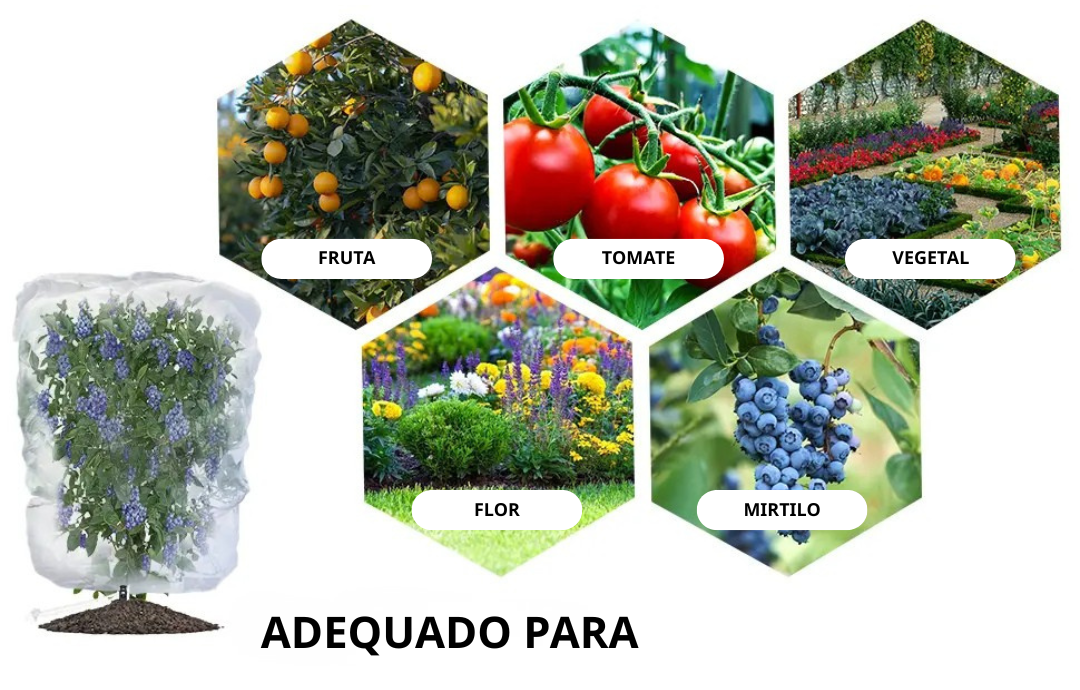 70% DESCONTO | Sacos De Malha Respiráveis Reutilizáveis Para Proteção De Frutas E Vegetais – Proteja Contra Insetos, Moscas-Das-Frutas E Pássaros