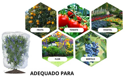 70% DE DESCONTO | SACOS DE MALHA REUTILIZÁVEIS PARA PROTEGER FRUTAS E LEGUMES