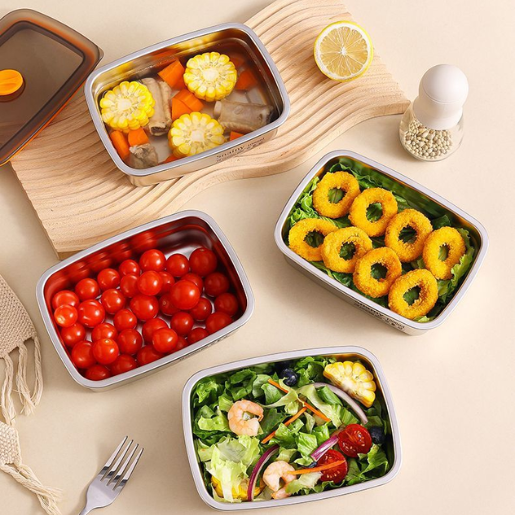 BoxFresh Inox 316 – Caixa de Comida a Vácuo Antibacteriana (19x3,5x5,5cm)