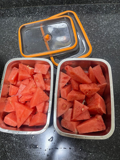 🇵🇹 Recipiente em aço inox AISI 316 com tampa a vácuo (19 x 13,5 x 5,5 cm)