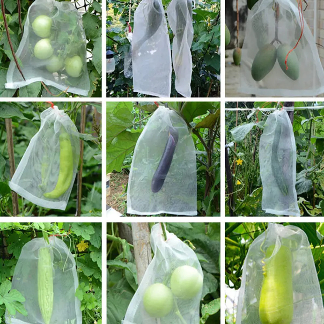 70% DESCONTO | Sacos De Malha Respiráveis Reutilizáveis Para Proteção De Frutas E Vegetais – Proteja Contra Insetos, Moscas-Das-Frutas E Pássaros