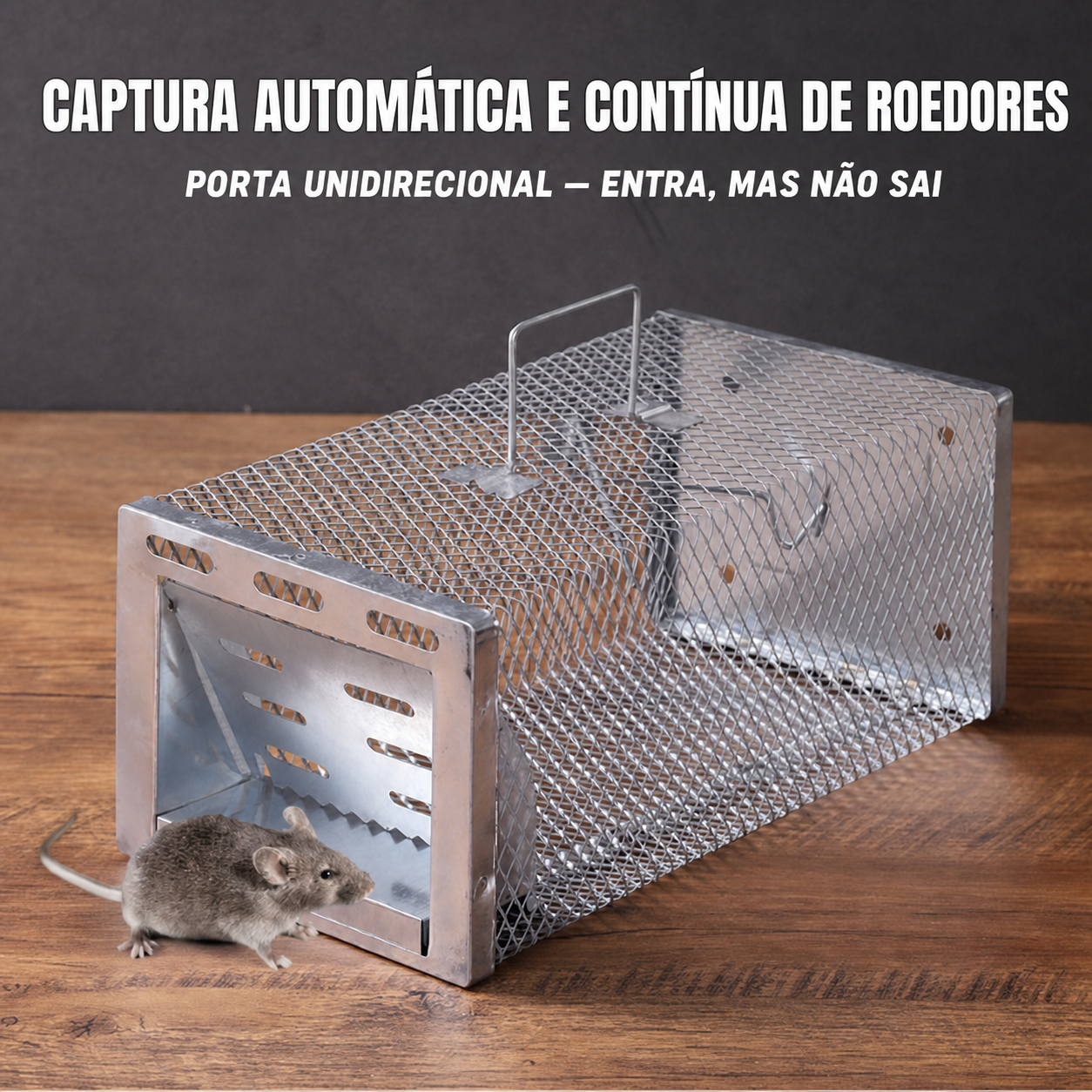Armadilha humanitária em gaiola para captura de roedores