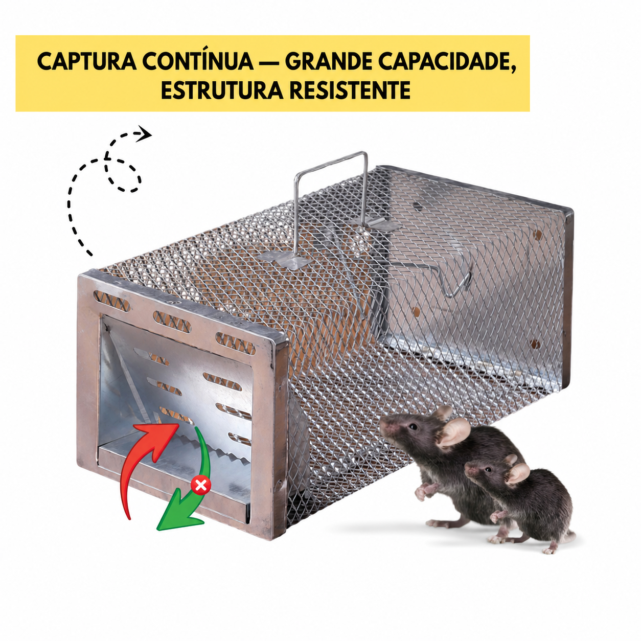 Armadilha humanitária para captura de roedores vivos