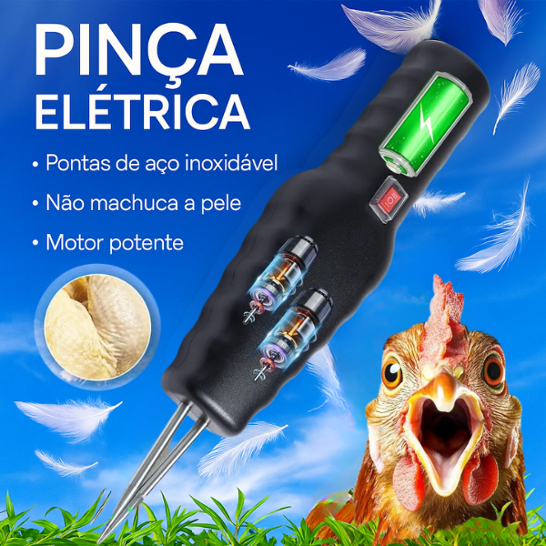 Depenador De Aves Portátil E Manual