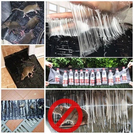 🎄70% DE DESCONTO | Armadilhas Adesivas Profissionais – Extra Grandes para Capturar Mais Rápido
